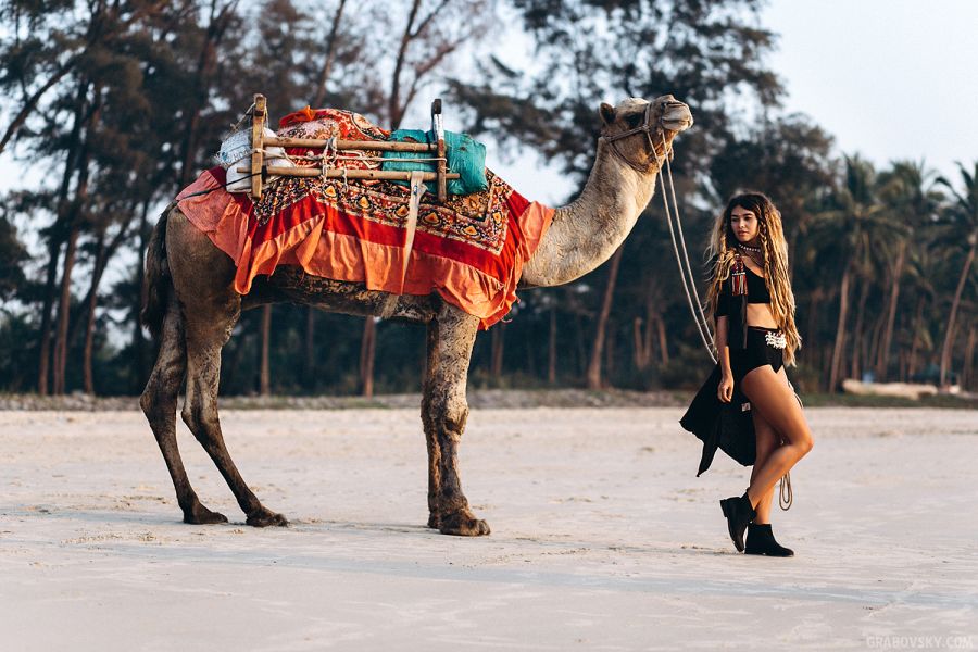Алиса Белочкина и Андрей Мусалев, фотосессия с верблюдом в стиле Бохо
