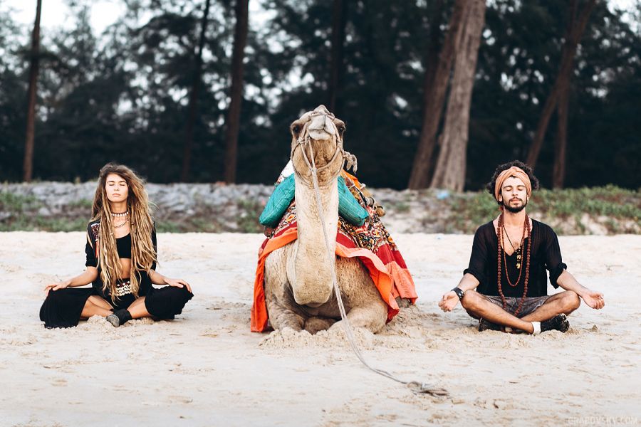 Пара медитирует с верблюдом Гоа